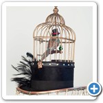 birdcage walk back side