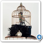 birdcage walk switch side 02