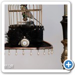 birdcage walk switch side