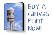 Buy A Canvas Print