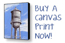 Buy A Canvas Print