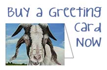 Buy some greeting cards