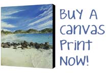 Buy A Canvas Print