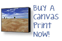 Buy A Canvas Print