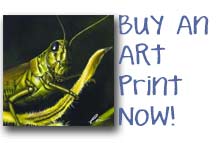 Buy a print now