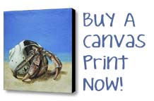 Buy A Canvas Print