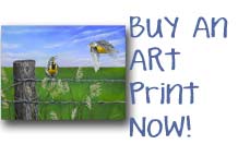 Buy a print now