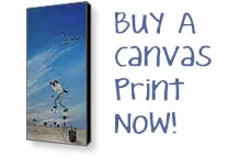 Buy A Canvas Print