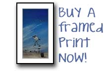 Buy a framed print today!