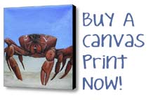 Buy A Canvas Print