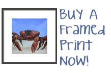 Buy a framed print