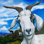 Goats of St Martin - #1