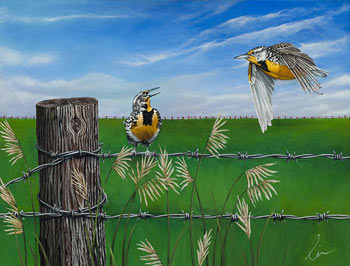 Click to view larger