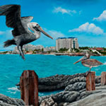 Click here for the larger image Click here for the larger image