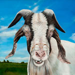 Click here for the larger image Click here for the larger image