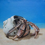 View the Hermit Crab (2) Painting
