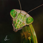 View the Praying Mantis Painting
