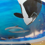 Murals for a Dentist Office