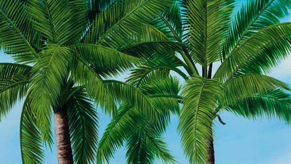 Click to view larger