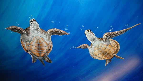 Click for the larger image