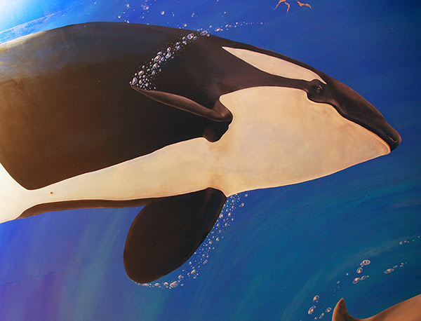 Click for the larger image