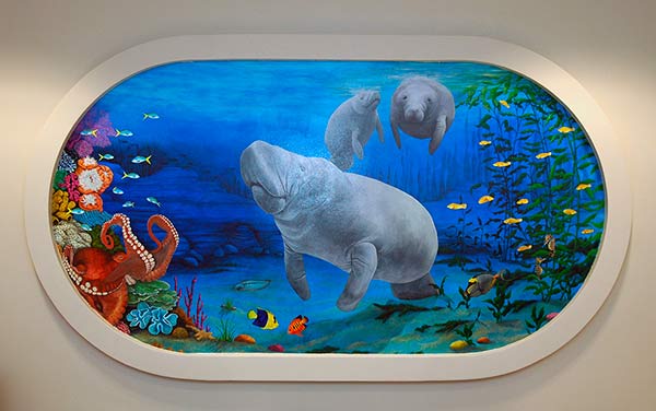 Click for the large image