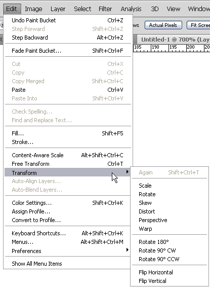 Transform Menu in CS4