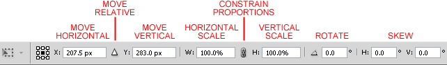 Transform Options in CS4