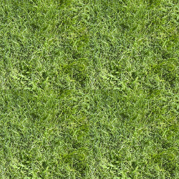 Non-Seamless texture