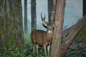 nw_trip_05_2377
