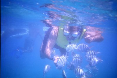 Hey! that's ME...and I'm swimming!